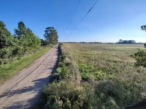 Campo 4 Hectáreas En Venta