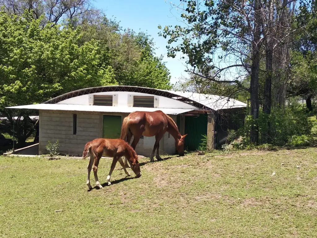 LOTE - GALPON - CASA A TERMINAR_MONOAMB.3500 M2