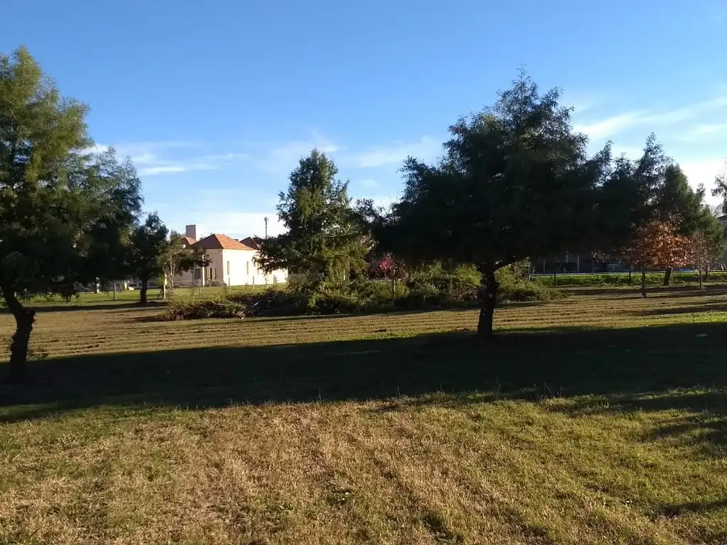 Fondo de Bosque, el mejor terreno de San Sebastian 926 metros cuadrados