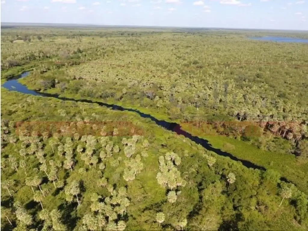 EXCELENTE CAMPO GANADERO DE 14.000 HAS EN PATIÑO, FORMOSA