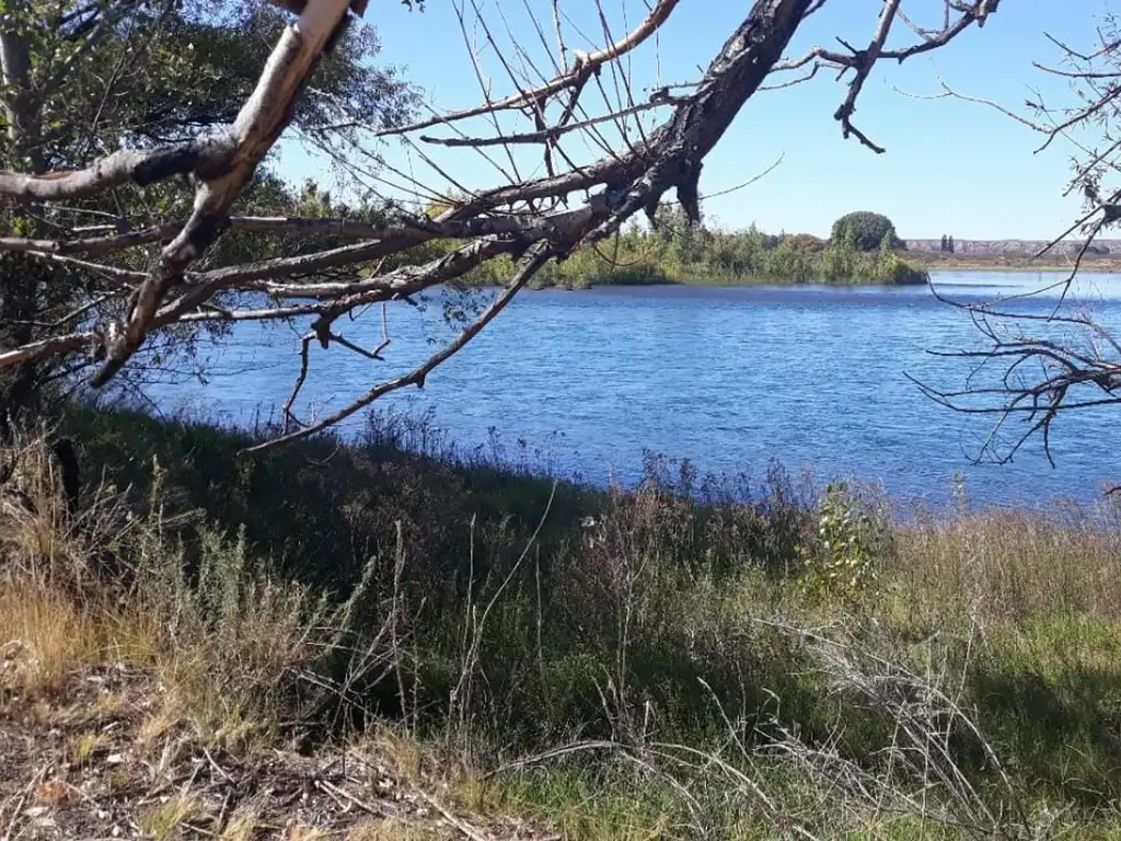 Vendo hectáreas con costa al Rio en Arroyito