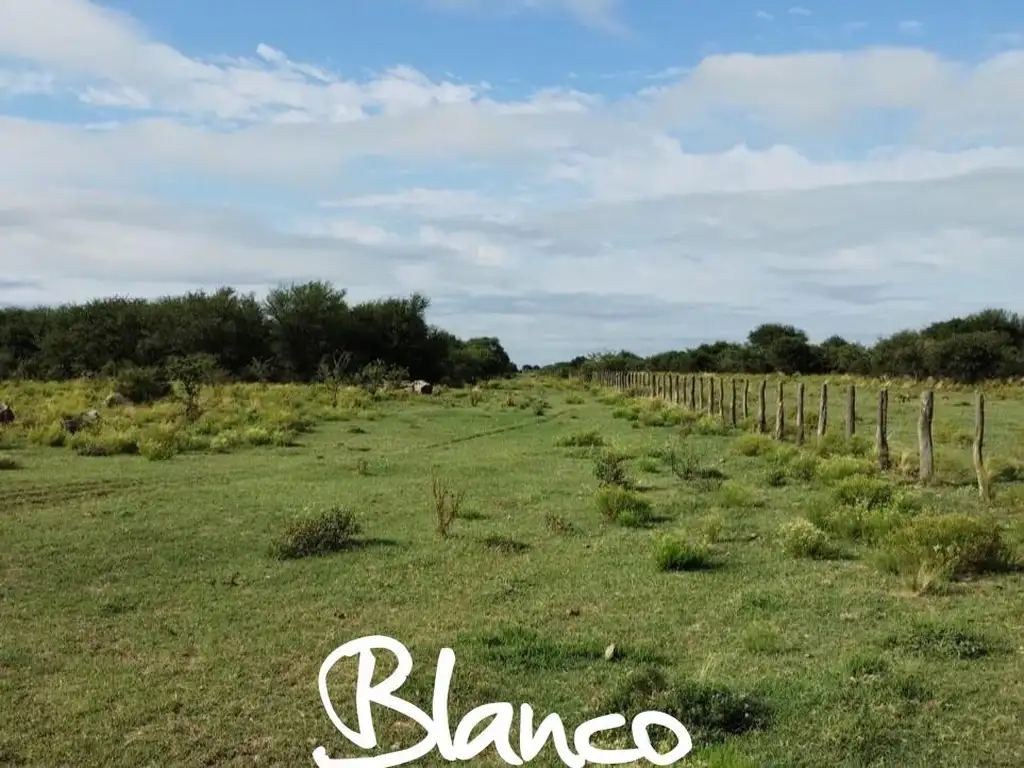 Terreno Campo  en Venta en San Luis Capital, San Luis, Argentina