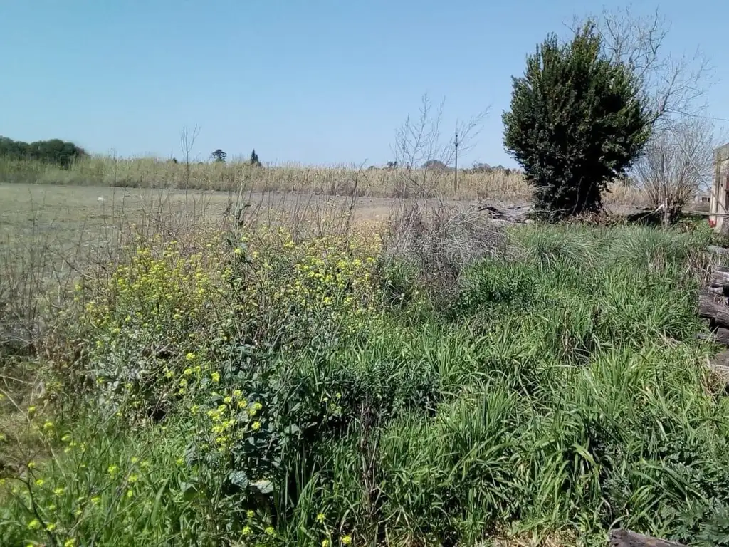 Terreno en Perez