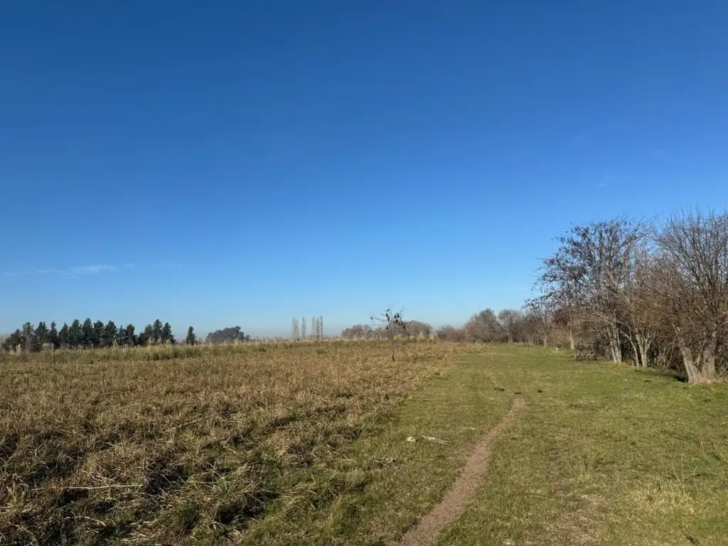 Terreno de 42 hectáreas, zona Polo Pilar