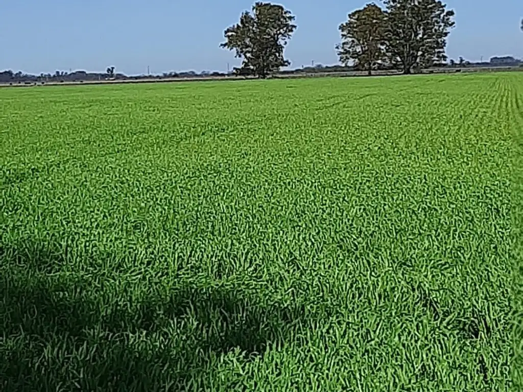 CAMPO EN VENTA EN FLORENCIO VARELA