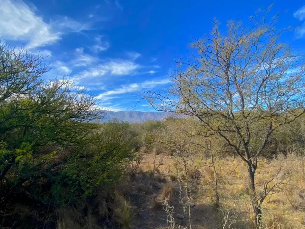 Fracción de 2,5 Hectáreas en La Paz, Zona Los Puestos