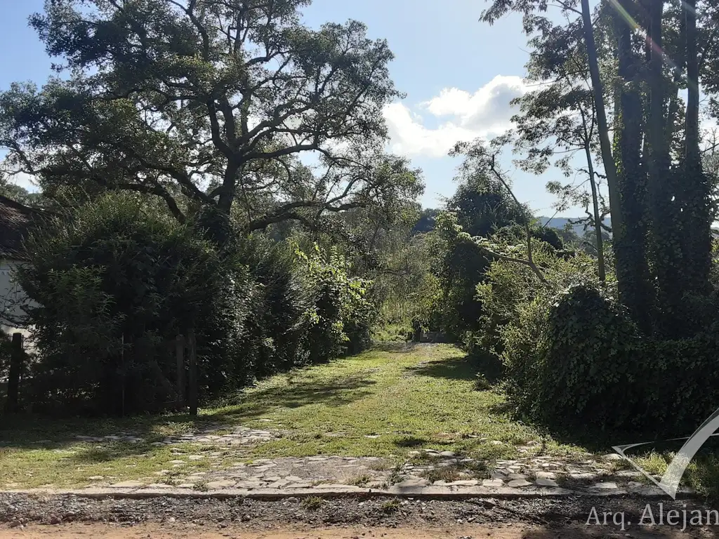 TERRENO ARBOLADO EN CASTELLANOS