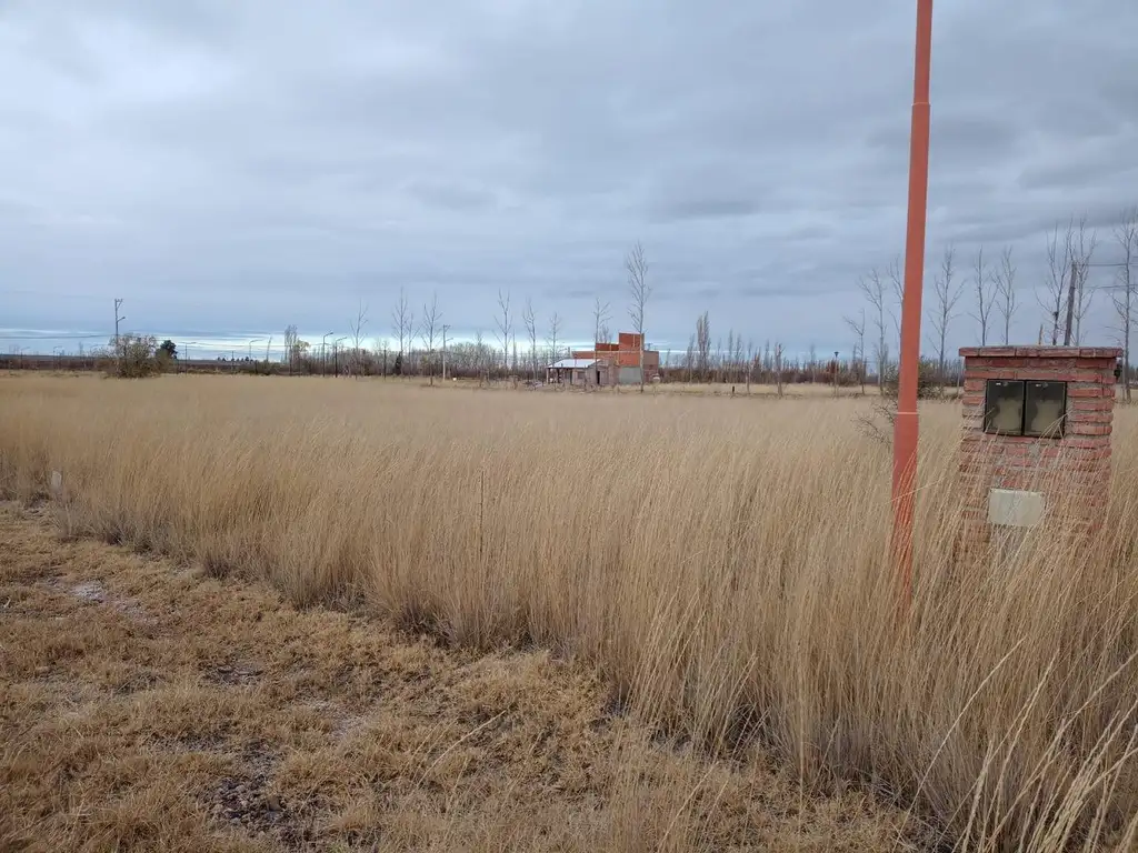 Terreno 1500m2 Ferndandez Oro Perales del Solar