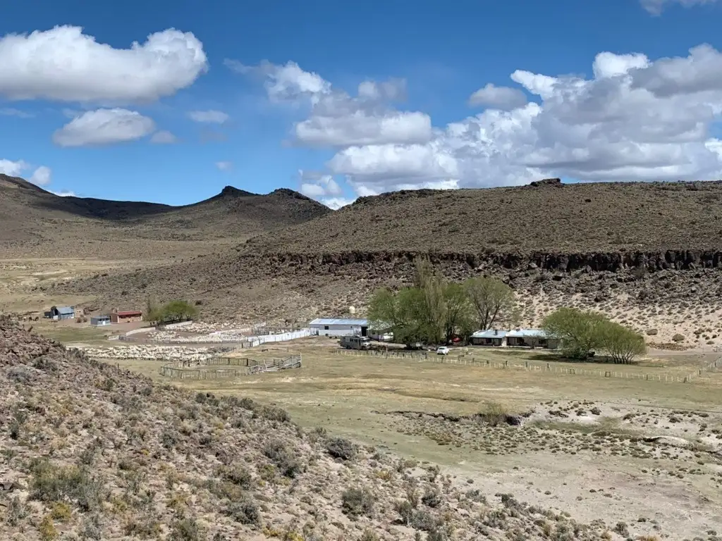 PROPIEDADES RURALES - GANADERA - TELSEN