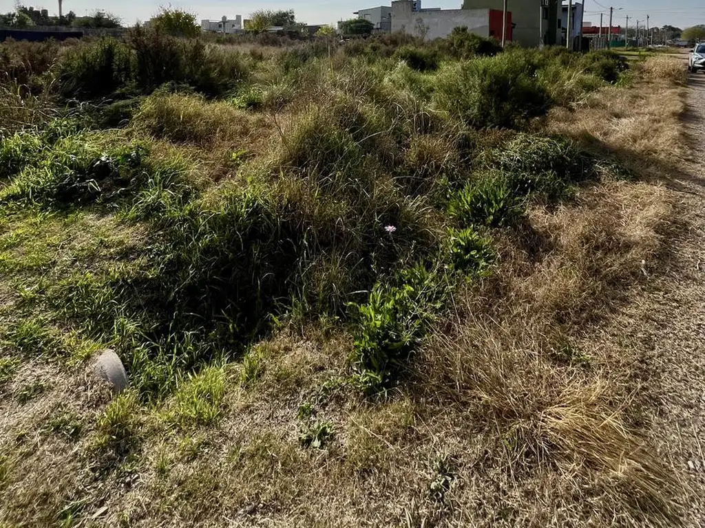 Terreno en Aeropuerto, Villa Elvira