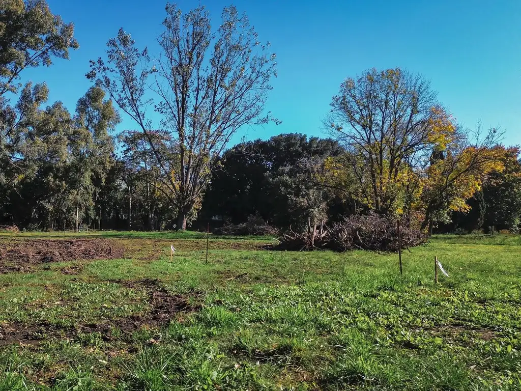 Terreno en Venta - Los Pinos III