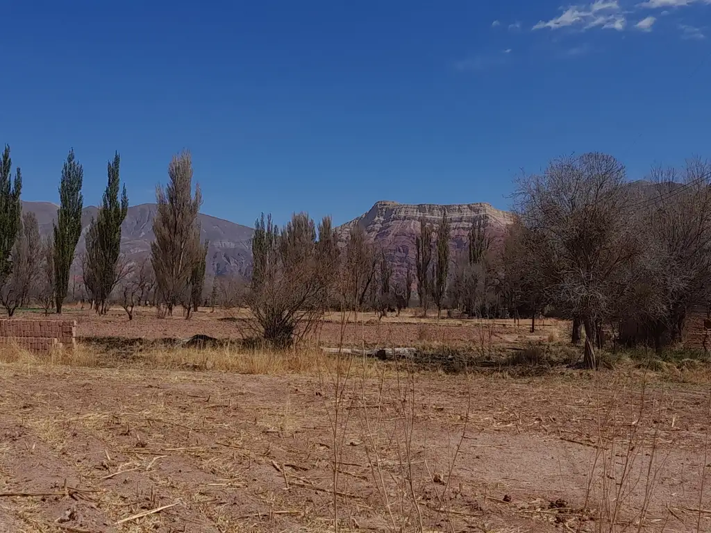 EN VENTA: fracción de 1 hectárea en YACORAITE, Quebrada de Humahuaca, Jujuy.