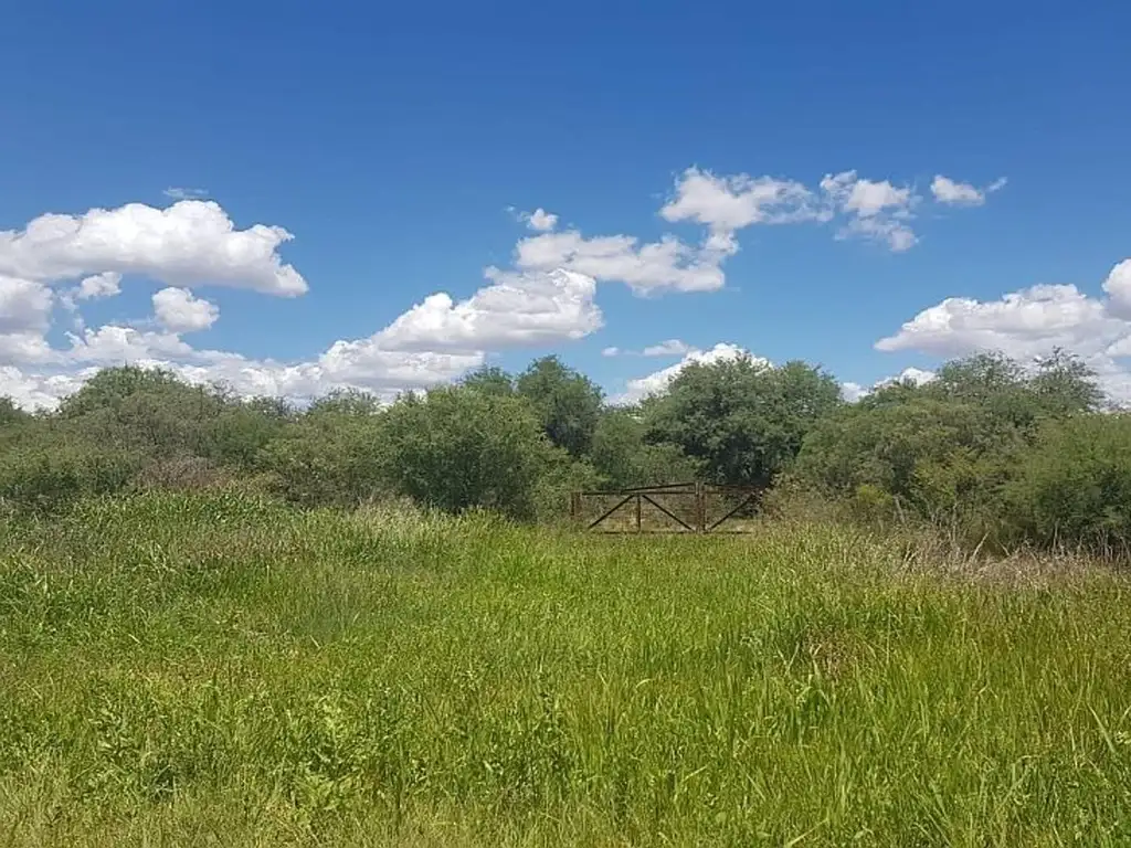 Campo de 24 hectáreas en venta Villa Larca San Luis