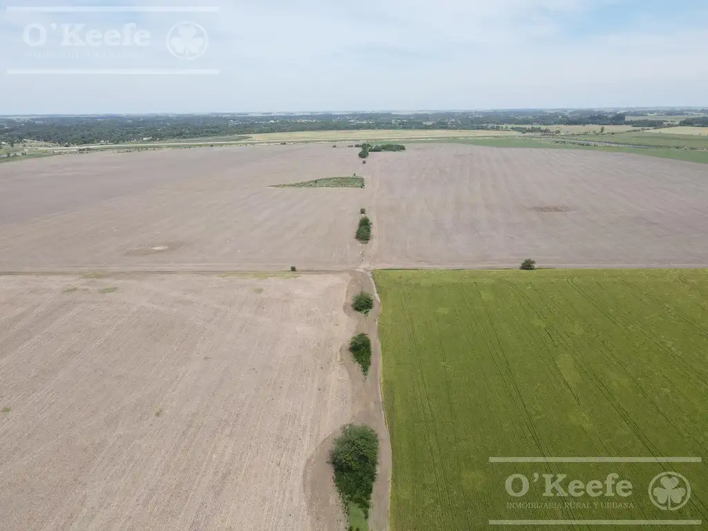 Campo en venta de 1082 Has sobre ruta - 75% agrícola - San Miguel del Monte