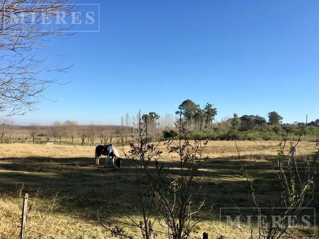 Terreno en Venta de 10.000 mts2 De la carcova esquina Constancia