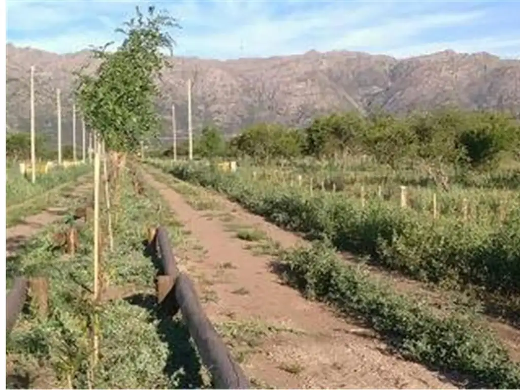 Invierta en un lote con Vista Privilegiada y acceso rapido!