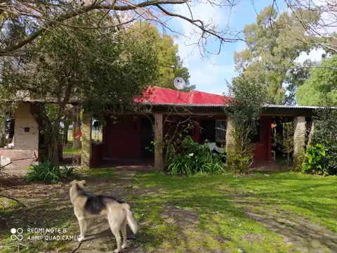 Lindísimo campo en Veronica, Punta Indio