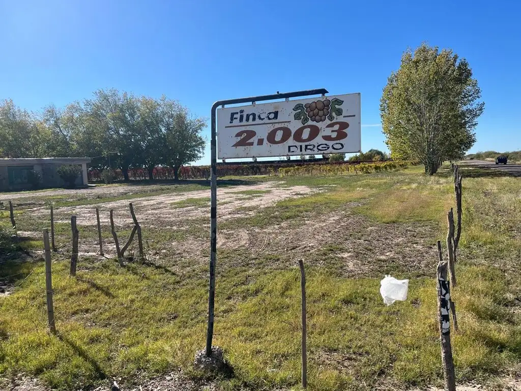 Venta de finca La Dormida, Mendoza