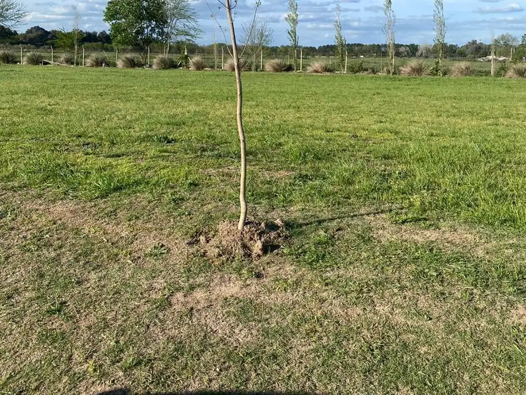 TERRENO EN LUJAN