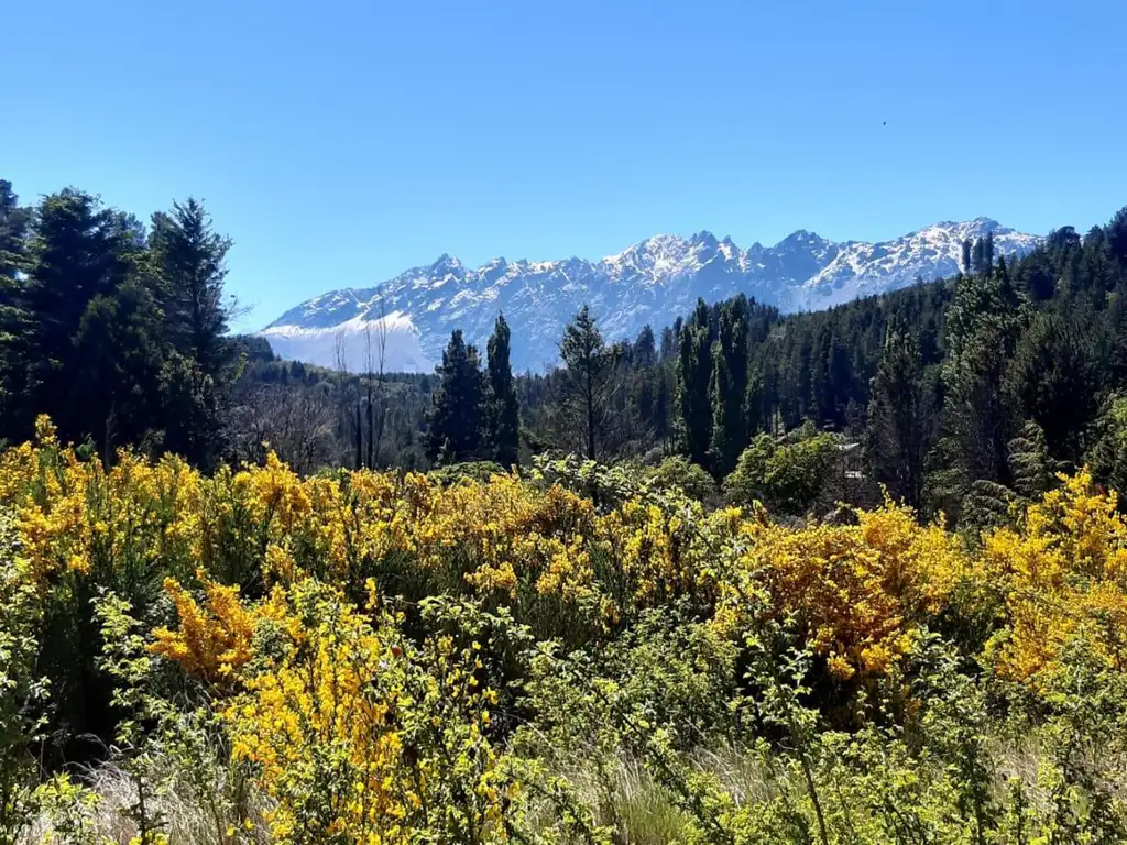 Terreno en venta - 2000Mts2 - Lago Puelo, Chubut