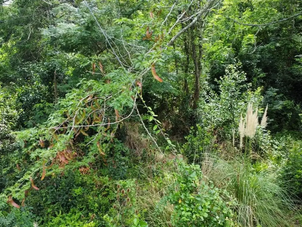 TERRENO EN VENTA EN GENERAL MADARIAGA