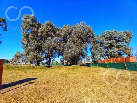 Terreno - San Ramon - Foto 0