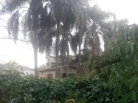 HERMOSA CASONA CON GRAN JARDÍN EN BARRIO PARQUE SAAVEDRA