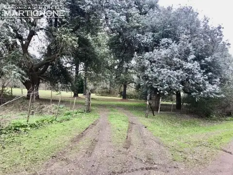 Chacra - Granja Pollos - Casa Arboles - Open Door - Luján