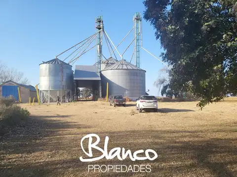 Campo  en Venta en Trenque Lauquen, Resto de la Provincia, Buenos Aires