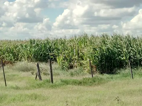 Venta de Campo en Laboulaye, Cordoba.