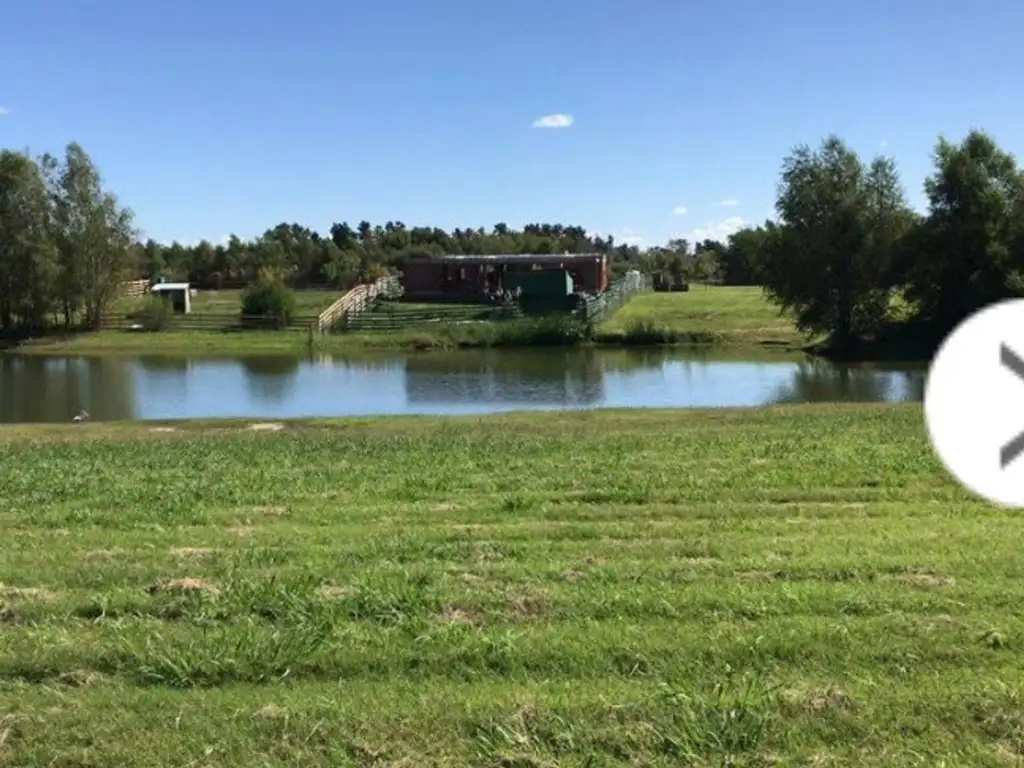 Divino lote en el cazal