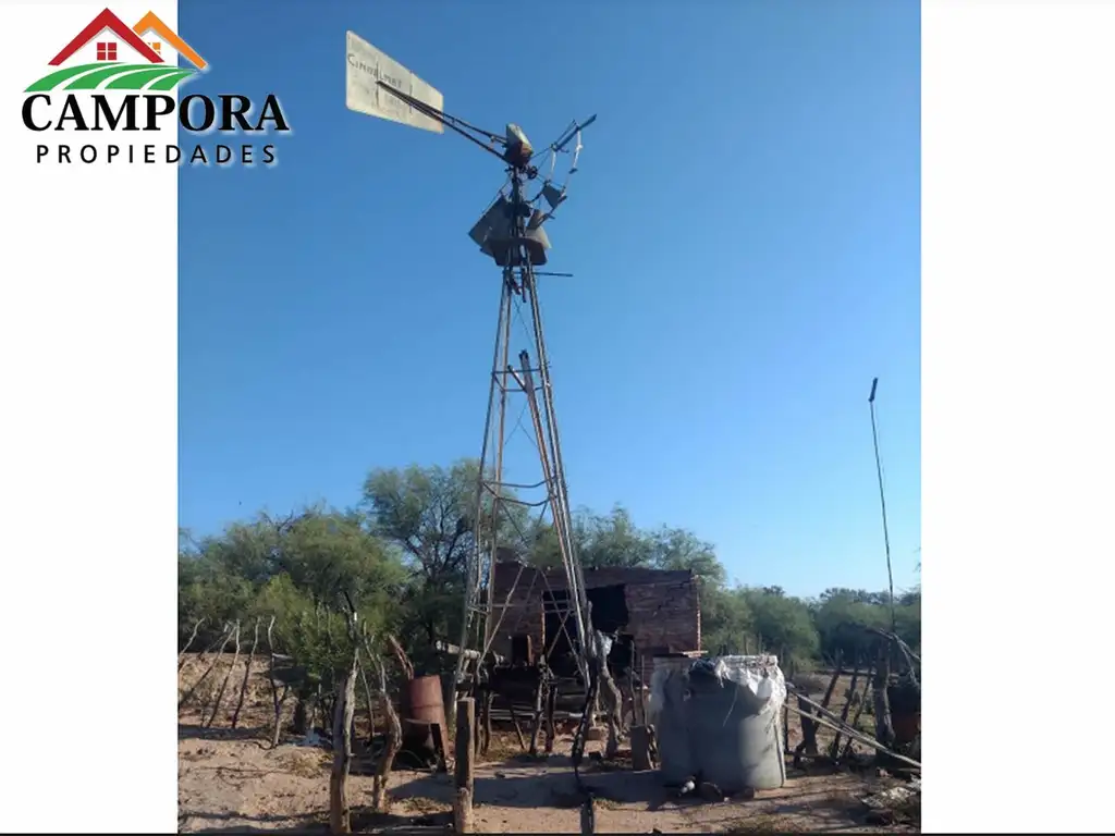 CAMPO GANADERO A LA VENTA EN CHAMICAL PROVINCIA DE LA RIOJA