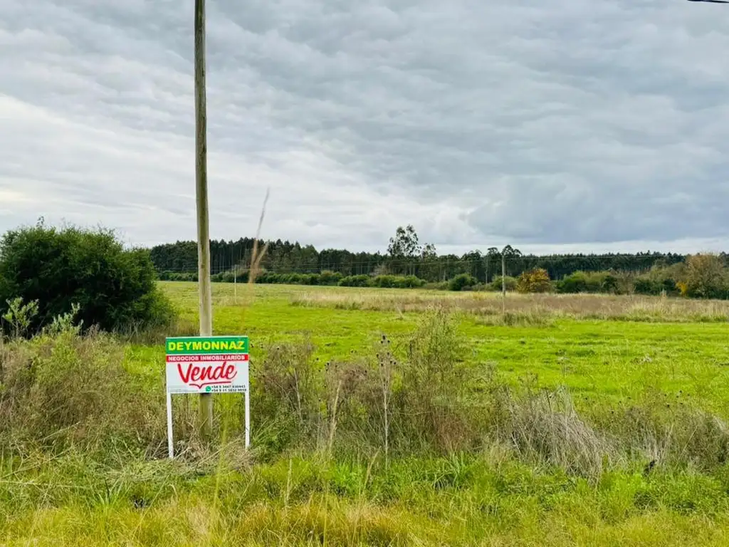 Parcela 1 Ha zona Acceso a Villa Elisa Entre Ríos