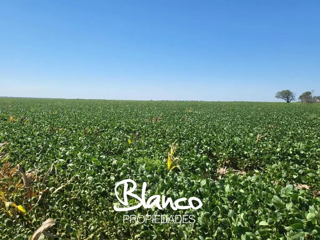 Terreno Campo  en Venta en San Luis Capital, San Luis, Argentina