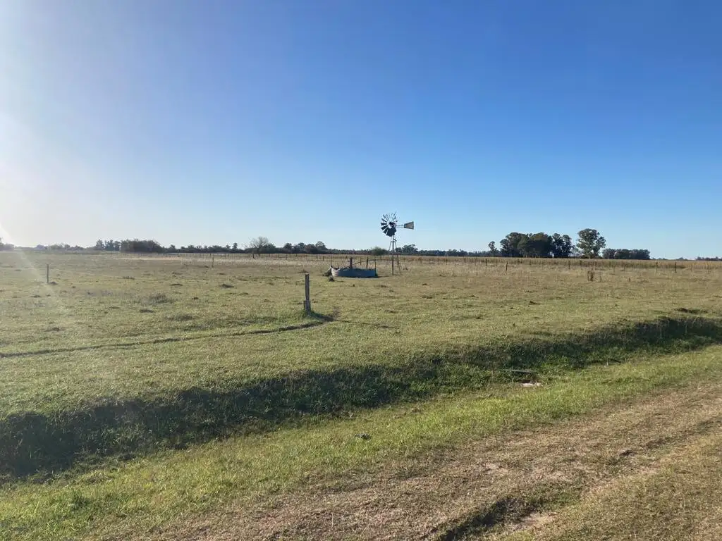 Campo en Venta Las Flores