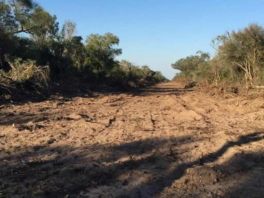 campo ganadero de 875 has. alambrado a 24 kms de Castelli