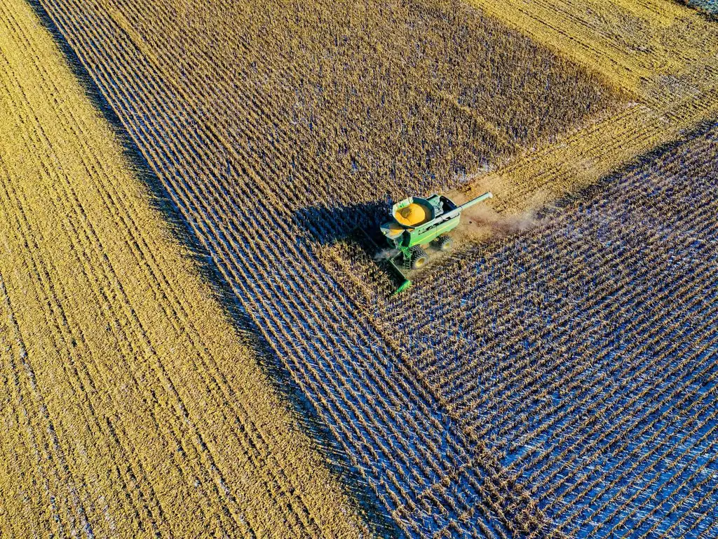 Campo 100% Agrícola de 232 has Coronel Arnold