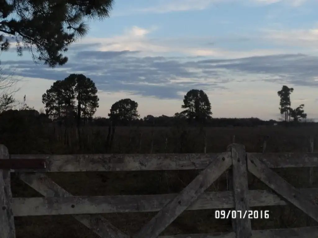 CAMPO 75 HECTÁREAS O DIVISIBLES, 25, 25, 25 -O- 25,50, MUY BUEN CAMPO AGRÍCOLA-GANADERO