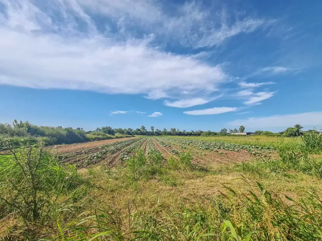 VENTA CAMPO 5 HA CON REPRESA RUTA VILLA RETIRO