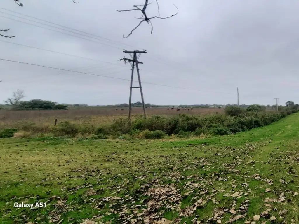 IDEAL INVERSIONISTA VENTA SOBRE RUTA 1 AL NORTE DE CAYASTA 7,5 HECTAREAS (C0N LUZ FRENTE EL CAMPO)