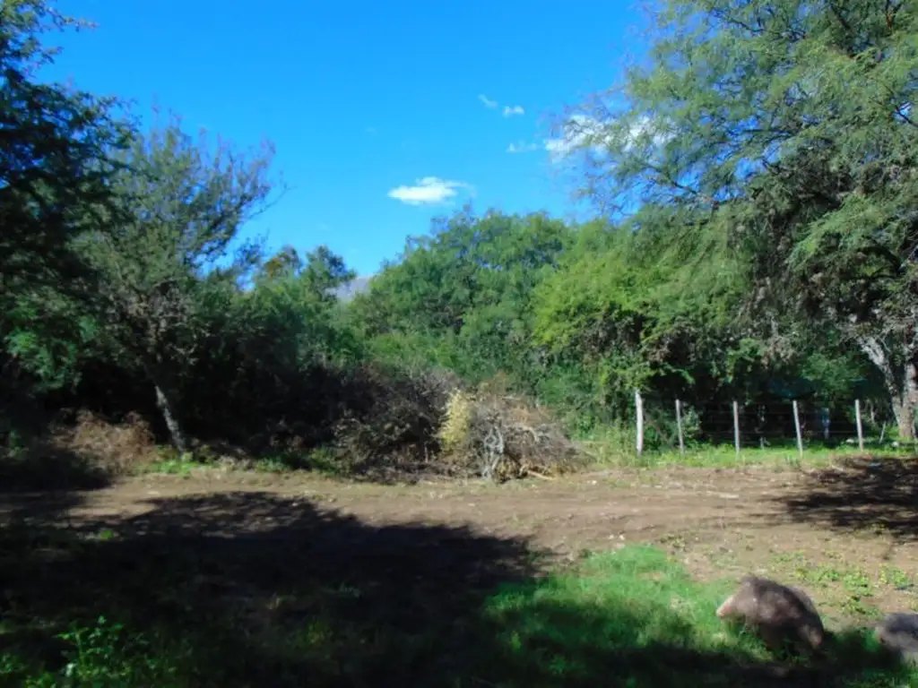 LOTE en Venta en  CARPINTERIA - SAN LUIS