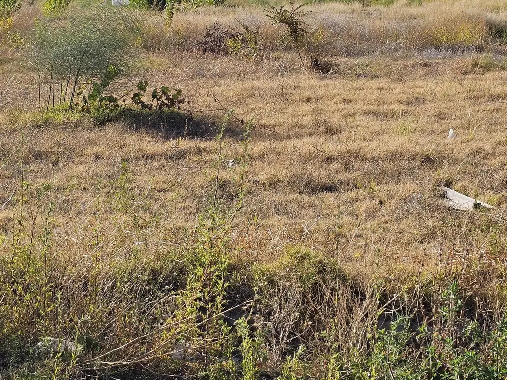 Terreno en  Altos de Alberdi IV