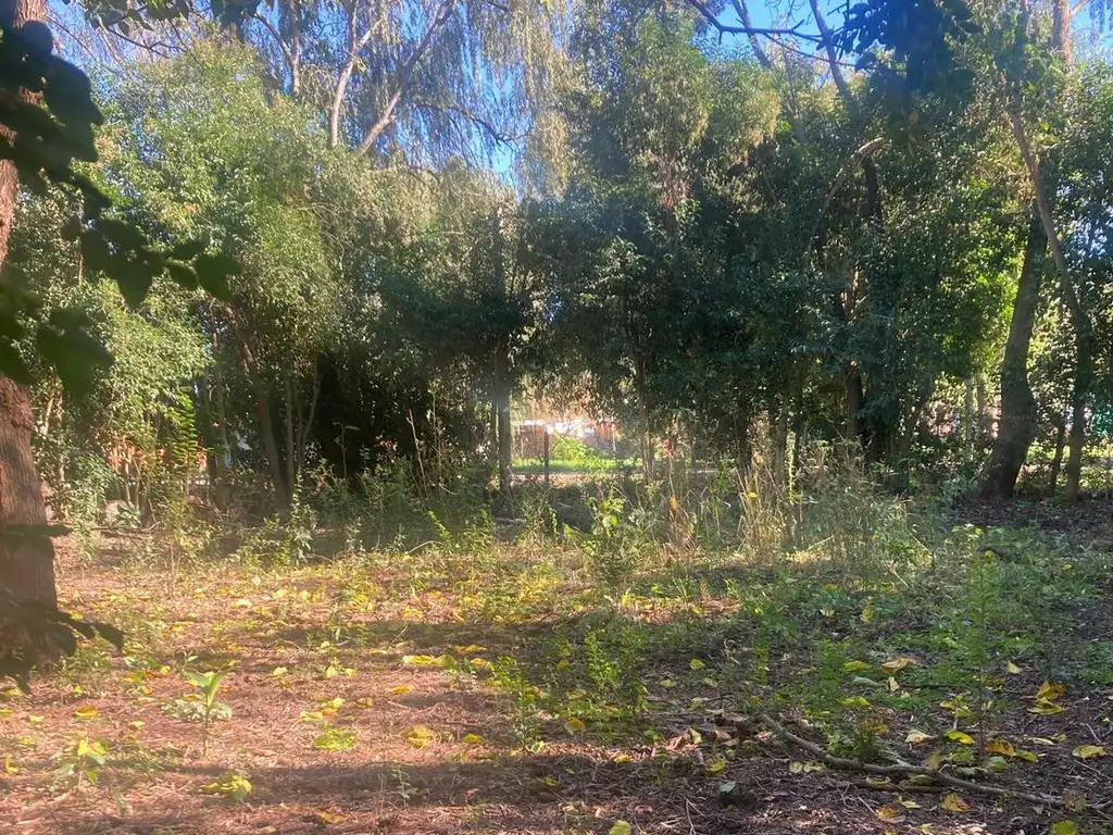 Terreno en Venta en Campana, Otamendi, G.B.A Zona Norte