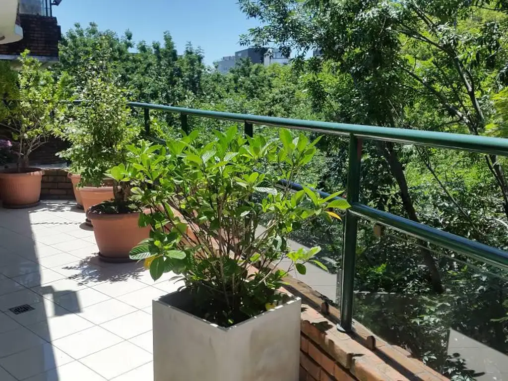 Departamento, 5 dormitorios, 570.72 m², Palermo chico.