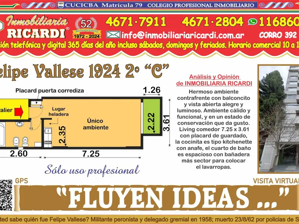 FLUYEN IDEAS monoambiente FINES COMERCIALES unicamente