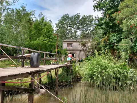 Quinta - Venta - Argentina, San Fernando