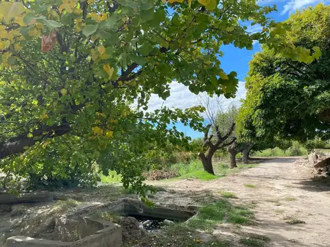 Campo en venta - Junín
