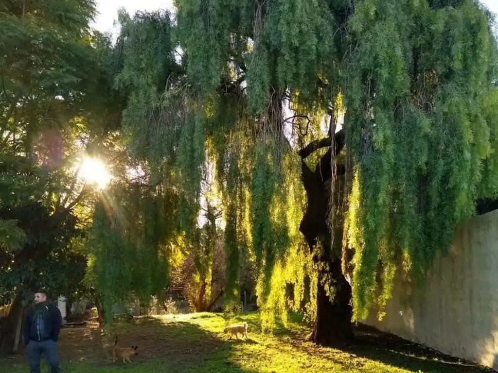 Terreno  en Venta ubicado en Victoria, Entre Ríos, Argentina