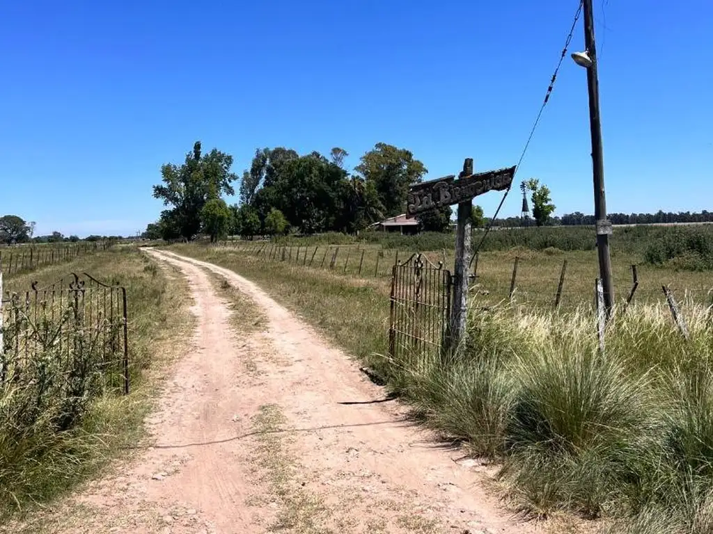 Campo, El Martillo, Marcos Paz.