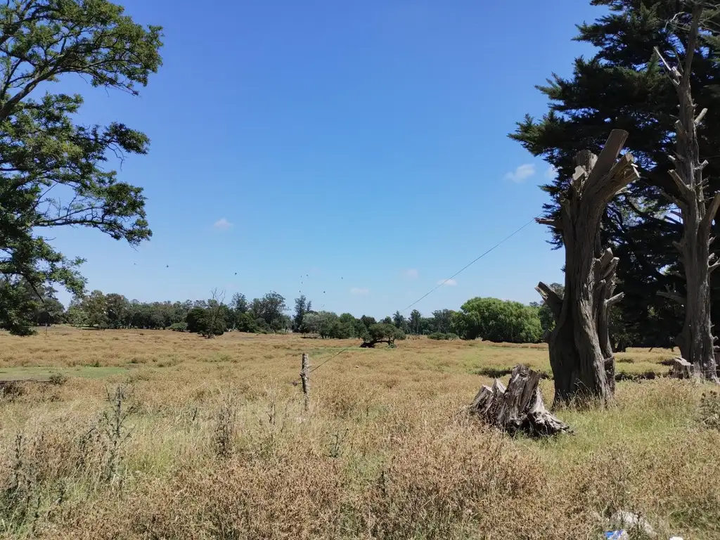 Venta o Permuta terreno lote en Mar del Plata